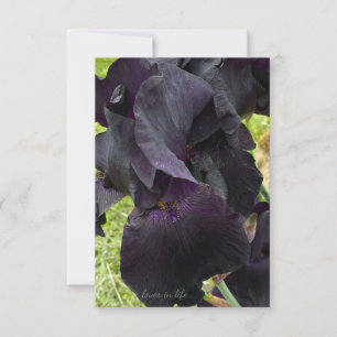 Black Iris Card