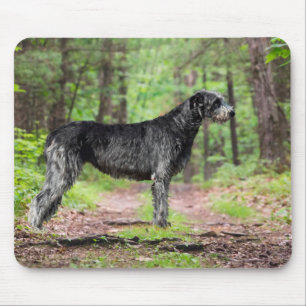 Black Irish Wolfhound Posing in a Forest Mouse Mat