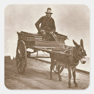 Black Jack, from 'Street Life in London', 1877-78 Square Sticker
