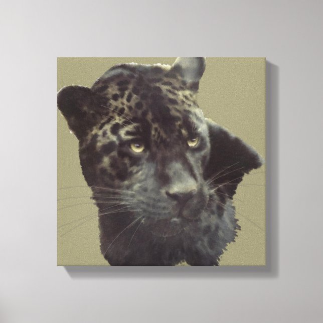 Black Jaguar Canvas Print (Front)