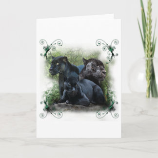 Black Jaguar Holiday Card
