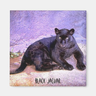 Black Jaguar, magnet