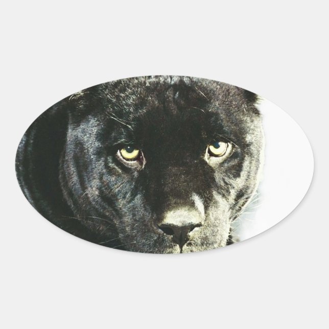 Black Jaguar Panther Eyes Oval Stickers (Front)