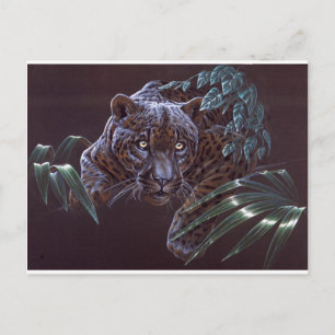 Black Jaguar Postcard