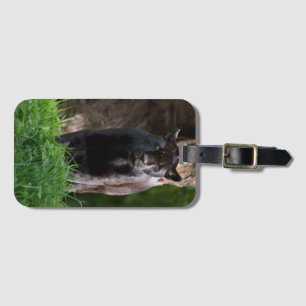 Black Jaguar Standing Alert Luggage Tag