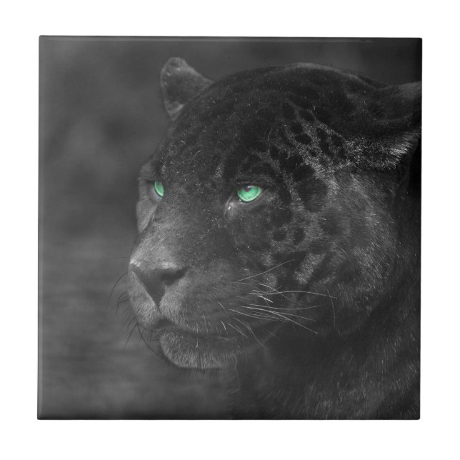 Black Jaguars Emerald Gaze Tile (Front)