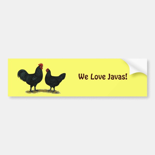 Black Java Chickens Bumper Sticker (Front)