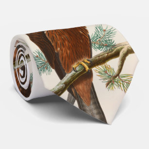 Black Kite Hawk John Gould Birds of Great Britain Tie