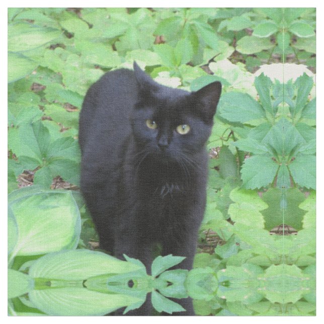 Black Kitten Cat in Garden Fabric (Close Up)