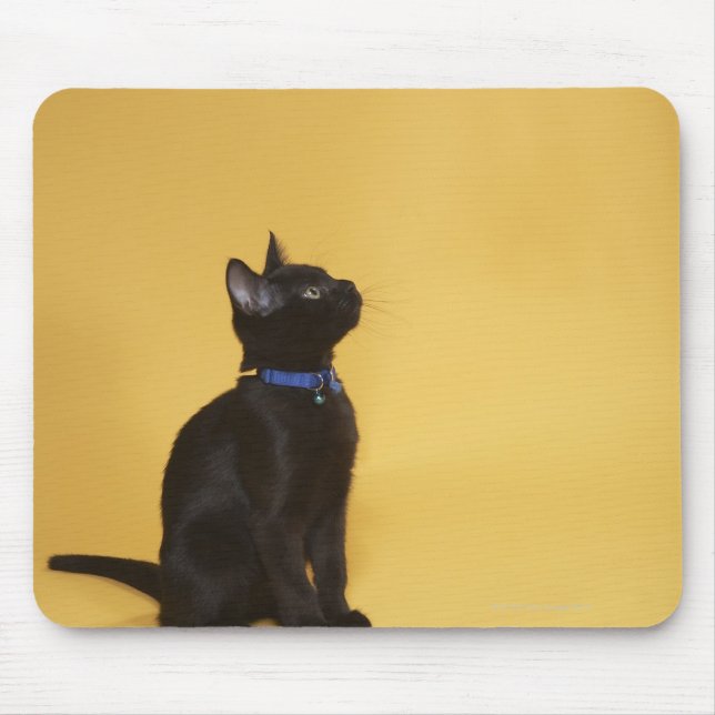 Black kitten in collar mouse mat (Front)
