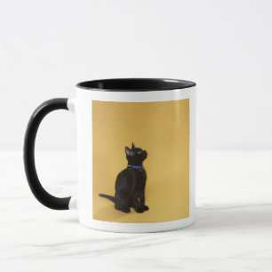 Black kitten in collar mug