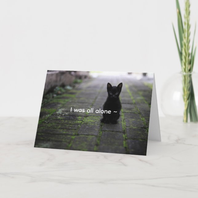 BLACK KITTEN - LOVE CARD (Front)