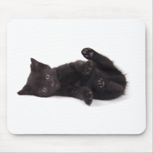 black kitten mouse mat