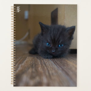 Black Kitten Planner
