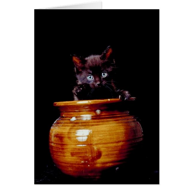 Black Kitten popping out of Ceramic Jar Card (Front)
