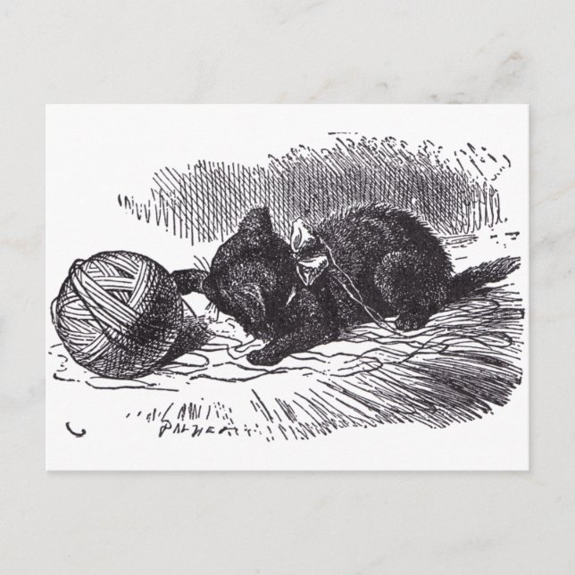 Black Kitten Postcard (Front)