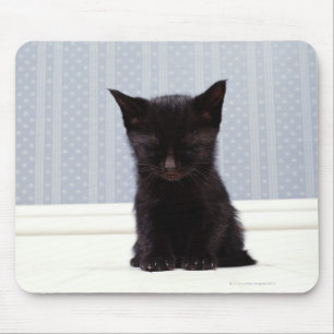BLACK KITTEN SLEEPING MOUSE MAT