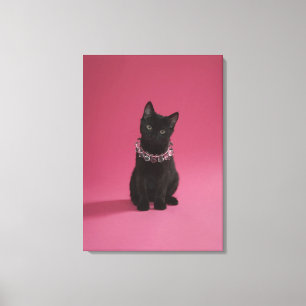 Black kitten wearing jewelled necklace canvas print