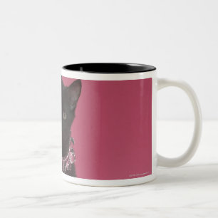 Black kitten wearing jewelled necklace Two-Tone coffee mug