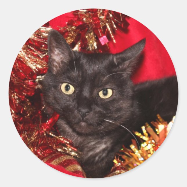 Black kitty cat Christmas Classic Round Sticker (Front)