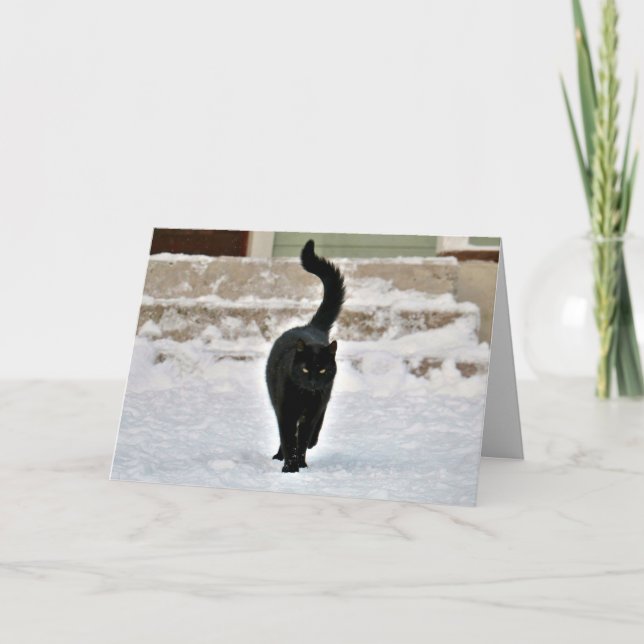Black Kitty Cat Cute Customisable Card (Front)