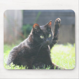 Black Kitty Cat Mouse Mat