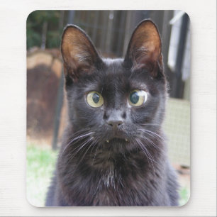 Black Kitty Cat Mouse Mat