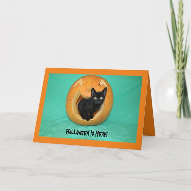 Black Kitty in Pumpkin Halloween Greeting Card (Front)