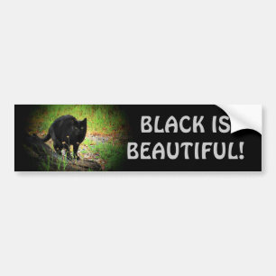 Black (Kitty) is Beautiful Bumper Sticker