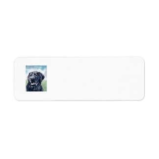 Black Lab