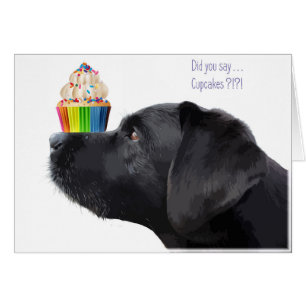 Black Lab All Occasion Card - Cupcake Cards