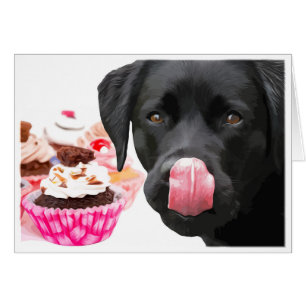 Black Lab All Occasion Card - Cupcake Cards