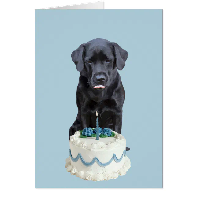 Black Lab All Occasion Card Dog Cake Birthday