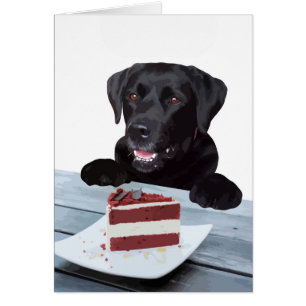 Black Lab All Occasion Card - Dog Cake Birthday