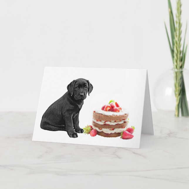 Black Lab All Occasion Card - Dog Cake Birthday (Front)
