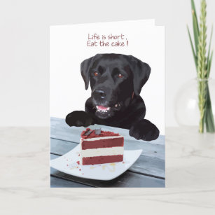 black lab cake