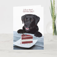 Black Lab All Occasion Card - Dog Cake Birthday