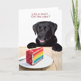 Black Lab All Occasion Card - Dog Cake Birthday