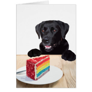 Black Lab All Occasion Card - Dog Cake Birthday