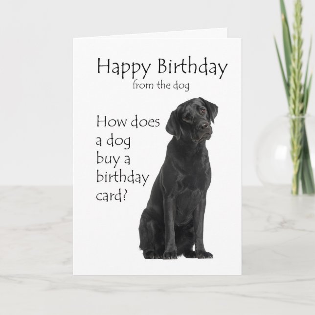 Black Lab Birthday Card (Front)