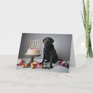 Black Lab Birthday Card