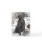 Black Lab, Blank Card