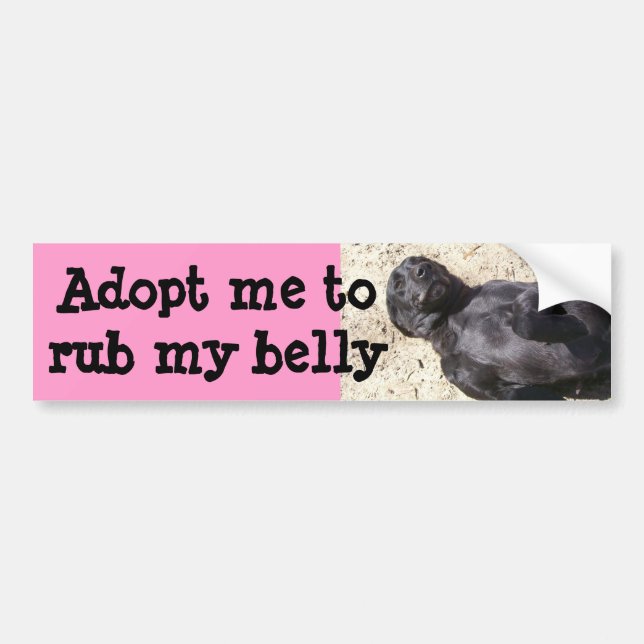Black Lab Bumper Sticker (Front)
