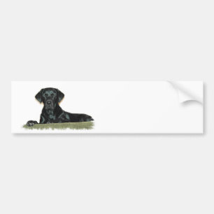Black Lab Bumper Sticker