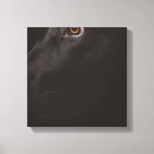 black lab canvas print (Front)