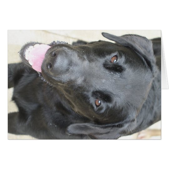 Black Lab Card