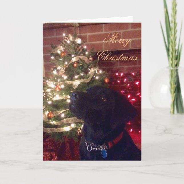 Black Lab Christmas Card (Front)