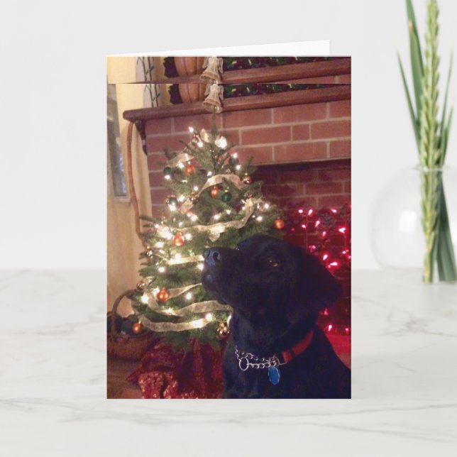 Black Lab Christmas Holiday Card (Front)