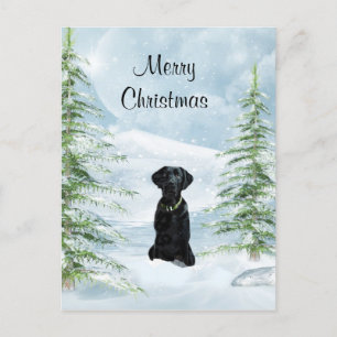 Black lab Christmas Holiday Postcard