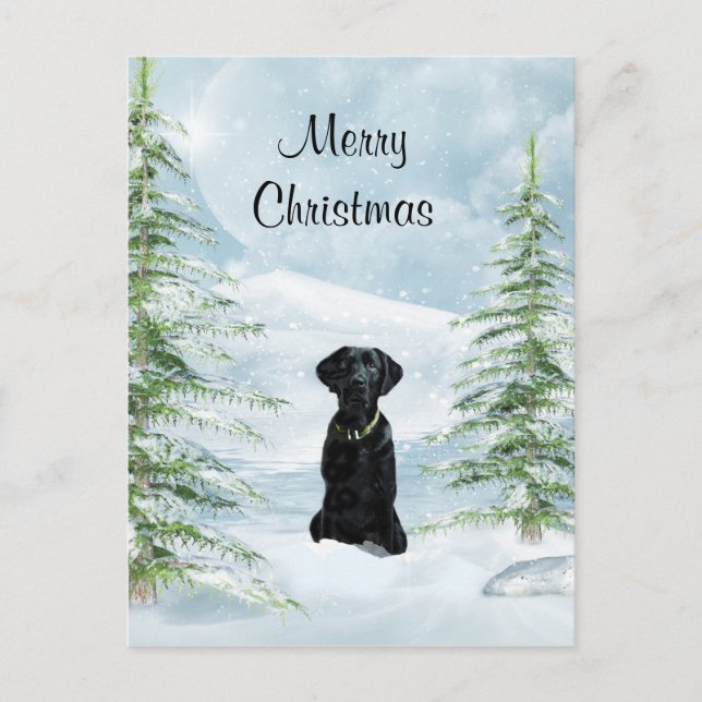 Black lab Christmas Holiday Postcard (Front)